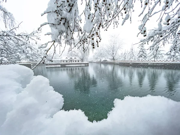 Erstaunliche Winterlandschaften Und Großartige Schauspiele Nationalparks — Stockfoto