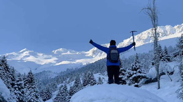 Randonnées Nature Paysages Hivernaux Impressionnants — Photo