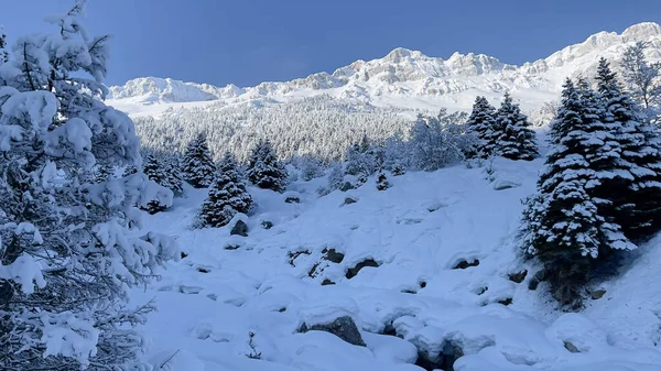 Wspaniałe Fascynujące Zimowe Krajobrazy Górach — Zdjęcie stockowe
