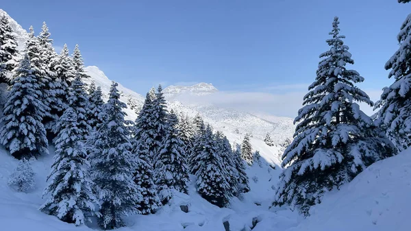 Χαλαρωτικά Τοπία Του Χειμώνα Στα Βουνά — Φωτογραφία Αρχείου