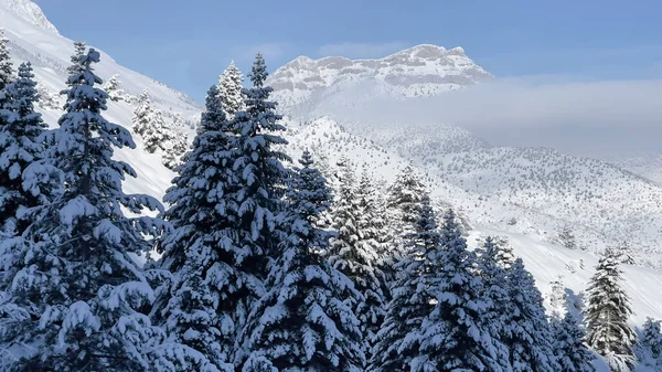 Relajantes Paisajes Invierno Las Montañas —  Fotos de Stock