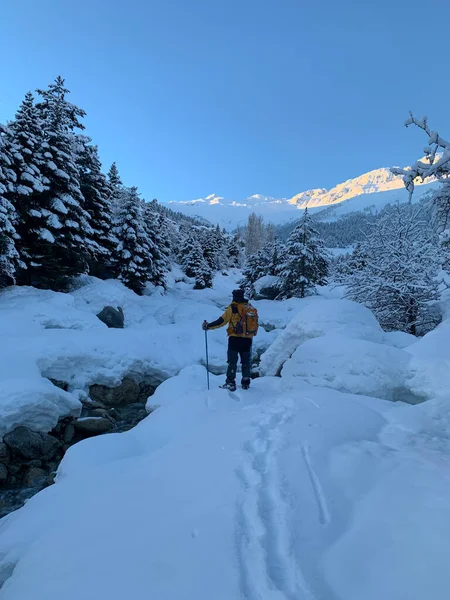 Caminhando Leitos Riacho Nas Montanhas Tranquilidade Beleza Inspiradora Natureza — Fotografia de Stock