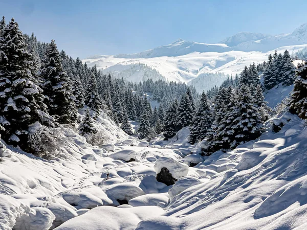 Zimní Krajiny Mlžných Horách Ticho Lese — Stock fotografie