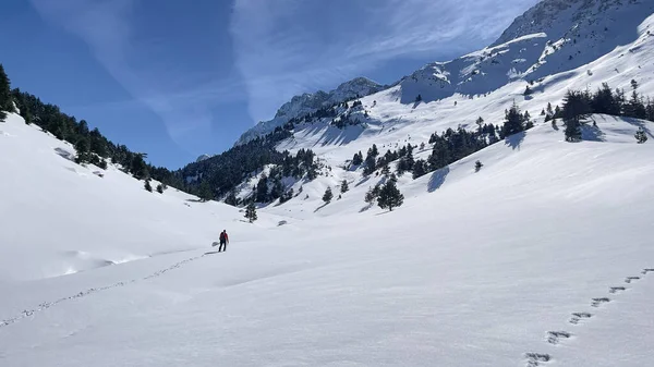 Alpinista Che Cammina Solo Montagna — Foto Stock
