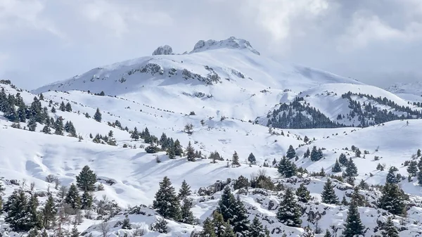 Temporada Invierno Ambiente Mágico Las Montañas —  Fotos de Stock