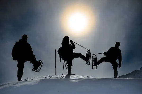 Team Alpinisti Professionisti Che Fanno Escursioni Invernali Insieme — Foto Stock