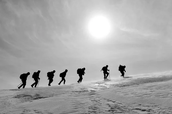 Groep Bergbeklimmers Beweegt Zich Harmonie Naar Top Van Bergen — Stockfoto