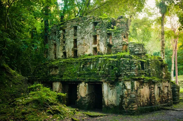 Археологічні розкопки Yaxchilan — стокове фото