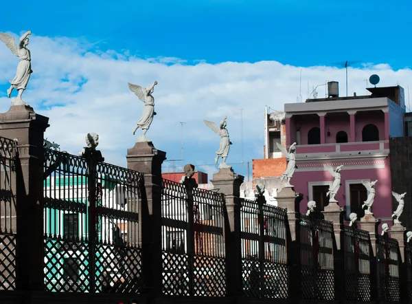 Anjos na cerca — Fotografia de Stock