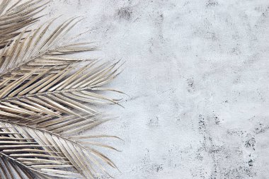Beyaz gri seramik beton duvarında parlak tropikal palmiye yaprağı gölgeleri. Kopya alanı olan soyut pastel arkaplan. Pırıl pırıl parlayan konfeti.