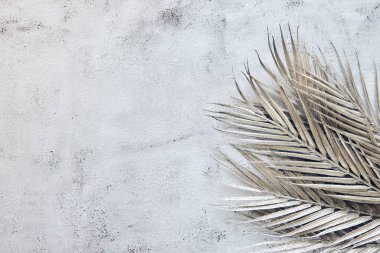 Beyaz gri seramik beton duvarında parlak tropikal palmiye yaprağı gölgeleri. Kopya alanı olan soyut pastel arkaplan. Pırıl pırıl parlayan konfeti.