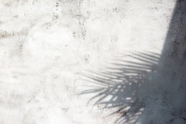 Beyaz gri seramik beton duvarında parlak tropikal palmiye yaprağı gölgeleri. Kopya alanı olan soyut pastel arkaplan. Pırıl pırıl parlayan konfeti.
