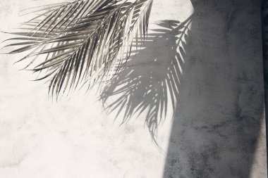 Beyaz gri seramik beton duvarında parlak tropikal palmiye yaprağı gölgeleri. Kopya alanı olan soyut pastel arkaplan. Pırıl pırıl parlayan konfeti.