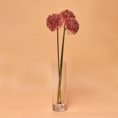 Dekoratif seramik vazo. Çiçek saksısında suni bitkinin güzel çiçek aranjmanı. Ev tasarımında şık iç kompozisyon