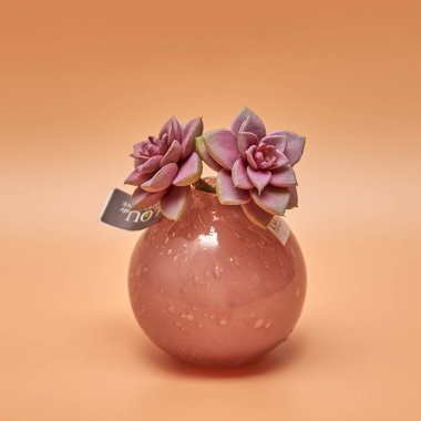 Dekoratif seramik vazo. Çiçek saksısında suni bitkinin güzel çiçek aranjmanı. Ev tasarımında şık iç kompozisyon