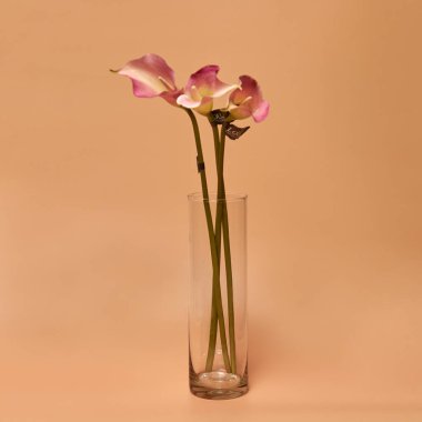 Dekoratif seramik vazo. Şık İç dizayn