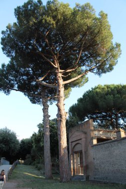 Pompei 'nin antik arkeolojik kazılarında bulunan pek çok ev ve tapınaktan birinin antik mimarisi.