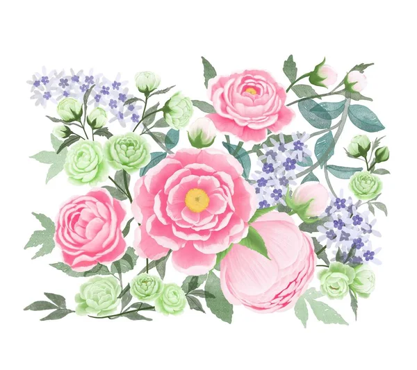 Illustration drawing of pink Peony green Roses and Purple wreath brunches, watercolor blush drawing on white background