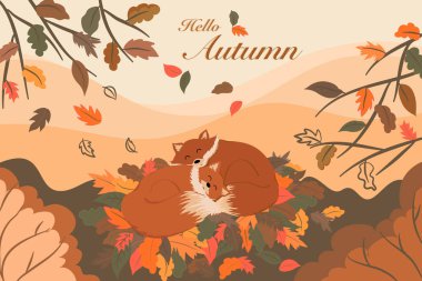 Vector of sleeping foxes on brown, orange leaves in Autumn season drawing, landscape view of trees, forest, mountain scenery with hello autumn texts for holidays  postcard, invitation background