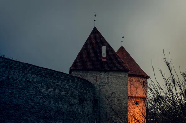 TALLINN Ordförande — Stockfoto