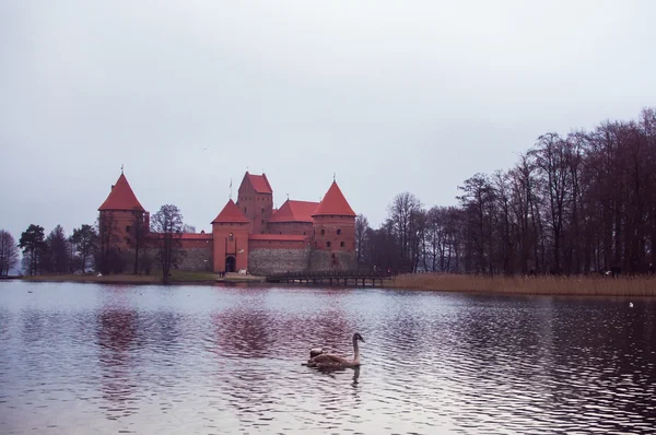 Trakai castle노년은 유리 홀더 — Stock Fotó