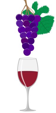 bardak şarap ve üzüm
