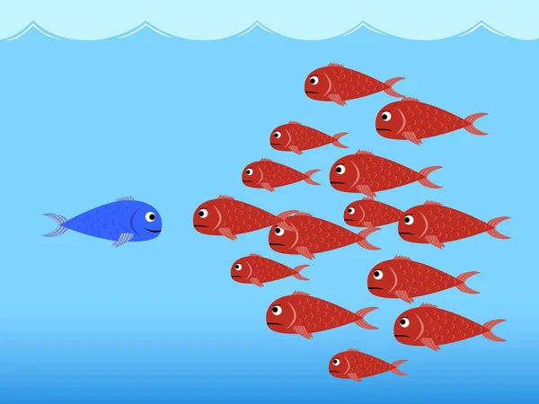 balıklar arasında rekabet