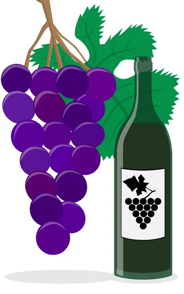 Bootle wijn en druiven — Stockvector
