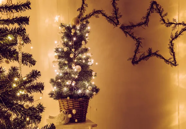 可爱的盆栽圣诞树 点缀有金属丝微光和白色装饰小球 夜间在室内发出嗡嗡声或感觉球的花环 墙上的星形花环 案文的空间 — 图库照片