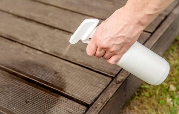 Homemade Ant Repellent Spray Mixture Bottle Person Hand Spraying Insect — Stock Photo, Image