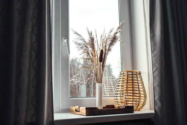 Usando Secado Natural Várias Plantas Grama Dentro Vaso Dentro Casa — Fotografia de Stock