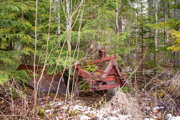 Antigua Máquina Arado Agrícola Abandonada Bosque Árboles Que Crecen Través —  Fotos de Stock