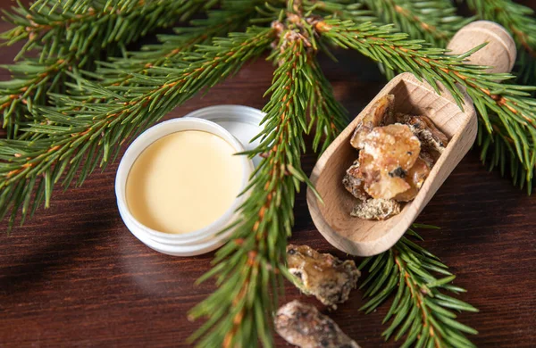 Spruce tree Picea abies herbal medicinal resin lotion in jar and pieces on wood spoon, decorated with fresh spruce branches. Using spruce resin in medicine and beauty industry concept.