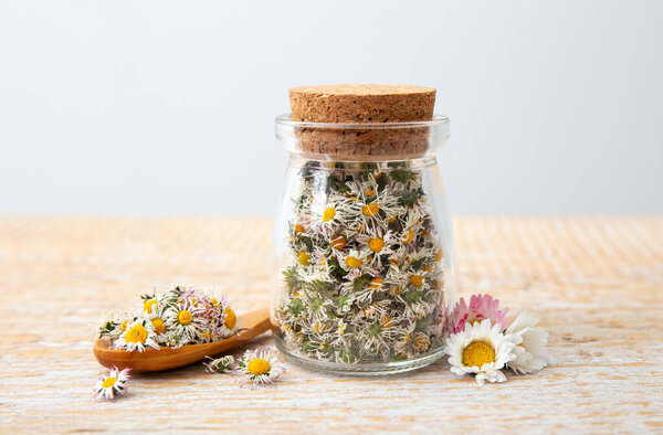 Dried herbal medicinal plant Common Daisy, also known as Bellis Perennis. Dry flower blossoms in glass jar and wood spoon, ready for making herbal tea, indoors still life.