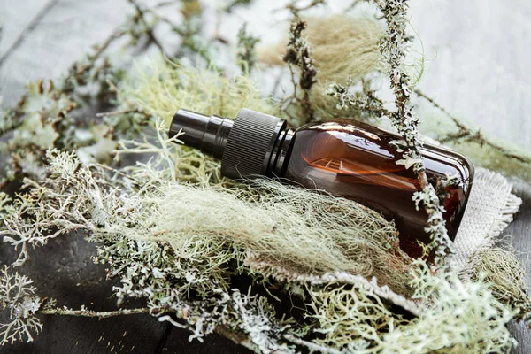 Brown pipette bottle with herbal lichen medicine tincture inside concept. Usnea barbata or old man\'s beard or beard lichen tincture concept. Side view, black wood board background.