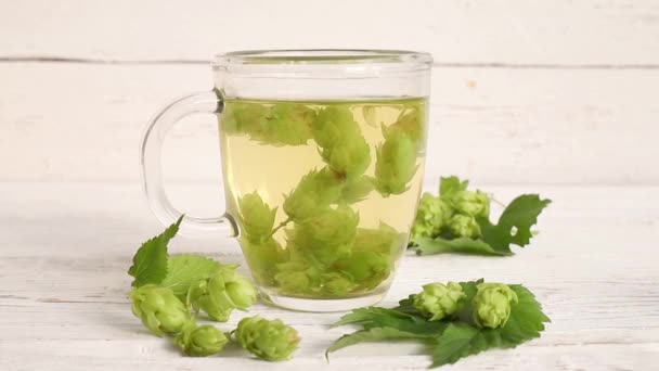 Herbal Medicinal Tea Drink Made Humulus Lupulus Common Hop Hops — Stok video
