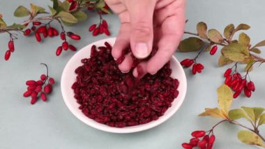 Kurutulmuş Berberis vulgaris yığını aynı zamanda barberry, Avrupa böğürtlen veya böğürtlen olarak da bilinir. Yenilebilir bitkisel tıbbi kırmızı meyve bitkisi.