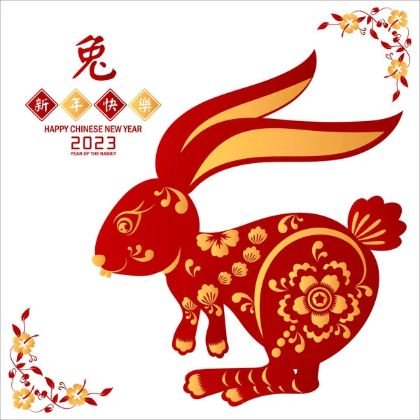 Chinees Nieuwjaarskonijnensymbool Jaar Van Het Konijn Karakter Isoleer Vactor — Stockvector