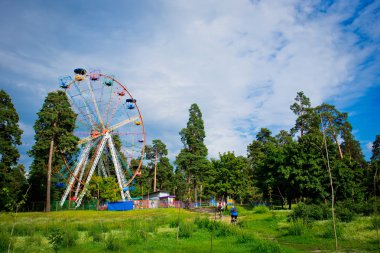 çok renkli dönme dolap 
