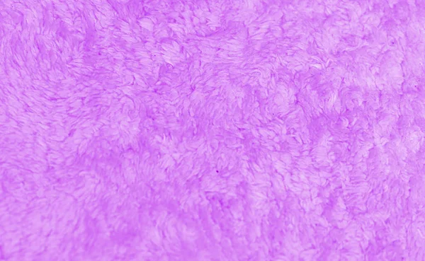 purple fur texture in color