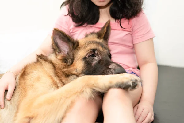 Dog Head Owner Togetherness Sitting Care Smiling — Stock Photo, Image
