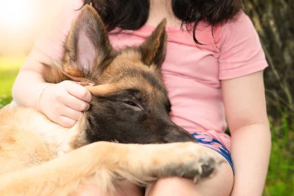 Dog Head Owner Togetherness Sitting Care Smiling — Stock Photo, Image