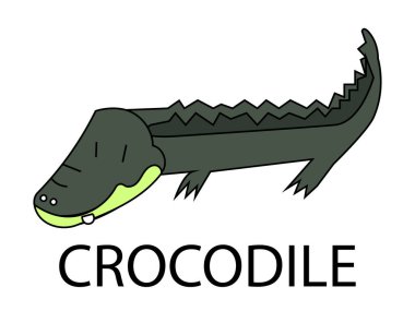 Timsah ya da timsah vektörü izole edildi