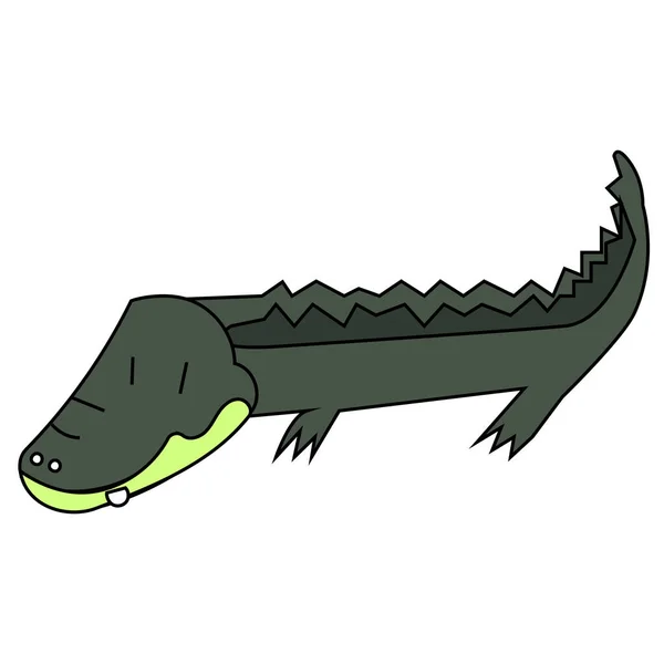Izolowany Wektor Krokodyla Lub Aligatora — Zdjęcie stockowe
