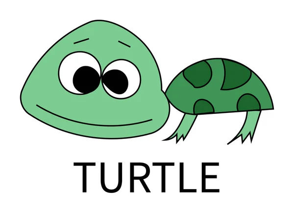 Želva Karikatuře Dreaw Izolované — Stock fotografie