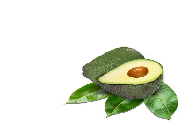 Avocado Geïsoleerd Witte Achtergrond — Stockfoto