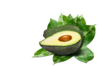 avokado beyaz arkaplanda izole edildi