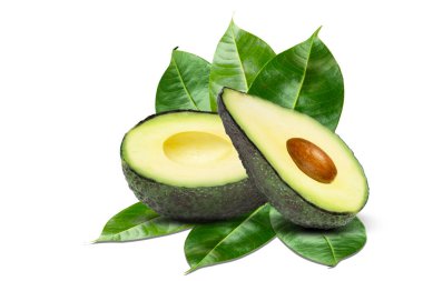 avokado beyaz arkaplanda izole edildi