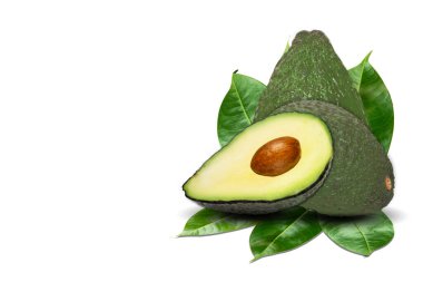 avokado beyaz arkaplanda izole edildi