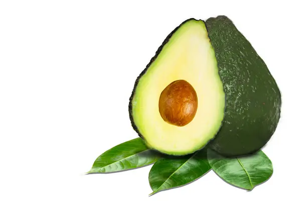 Avocado Geïsoleerd Witte Achtergrond — Stockfoto